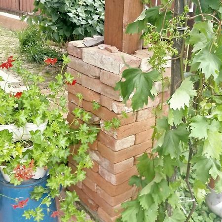 Apartament Oereghaz Vendeghaz Lakhegy Zewnętrze zdjęcie