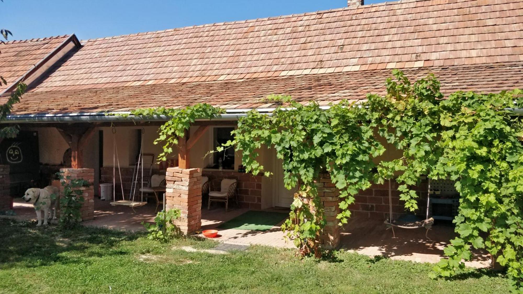 Apartament Oereghaz Vendeghaz Lakhegy Zewnętrze zdjęcie