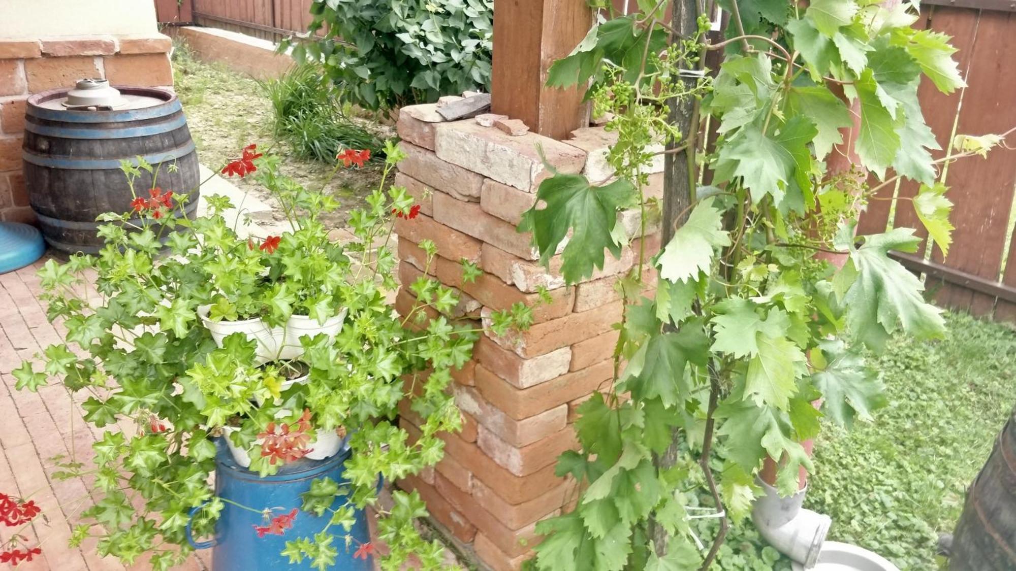 Apartament Oereghaz Vendeghaz Lakhegy Zewnętrze zdjęcie